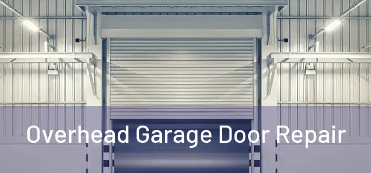  Overhead Garage Door Repair 